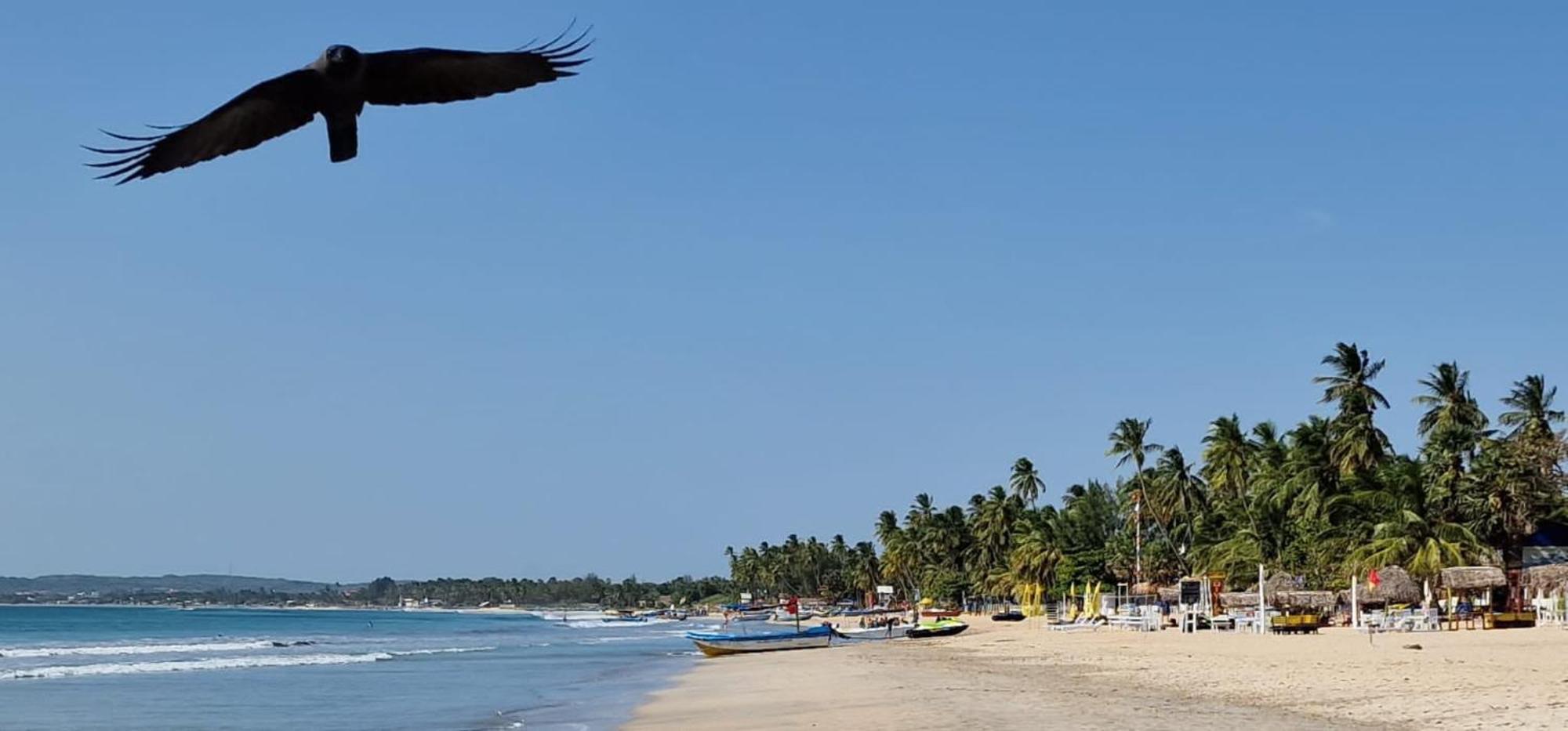 Lucky Beach Resort Тринкомали Экстерьер фото
